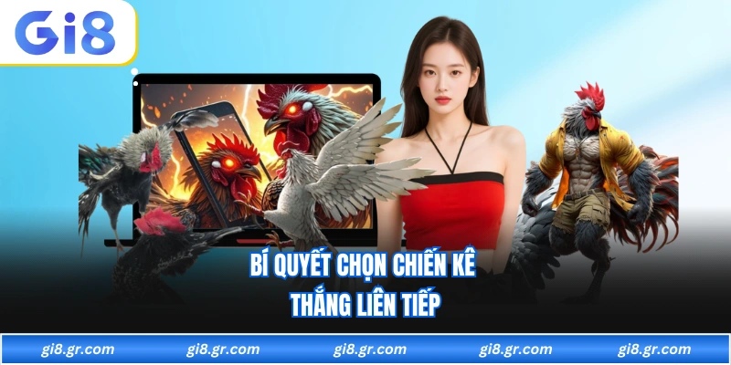 Bí quyết chọn chiến kê thắng liên tiếp